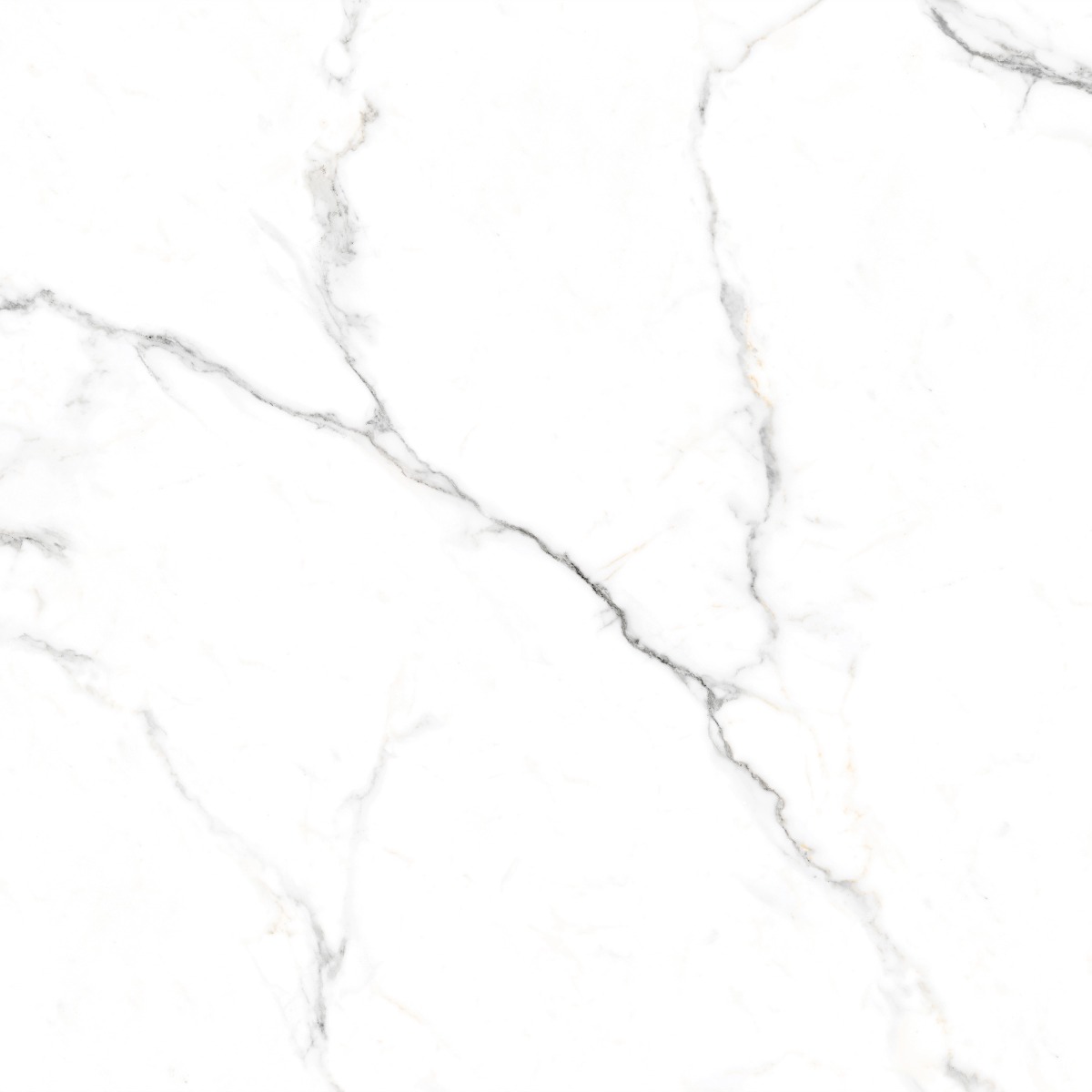 Buy Carving Statuario Marble Floor Tiles Online | Orientbell Tiles