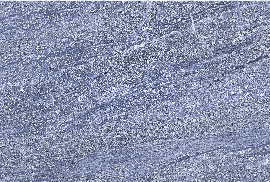 Duazzle for Bathroom Tiles, Kitchen Tiles, Accent Tiles