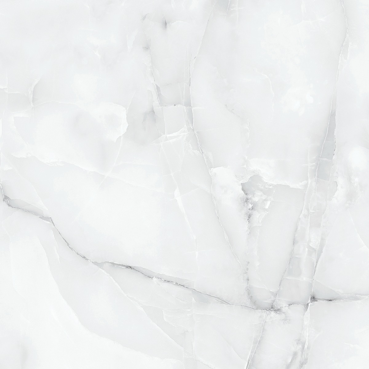 Forever Tiles for Bathroom Tiles, Living Room Tiles, Bedroom Tiles, Commercial Tiles, Accent Tiles, Office Tiles, Hospital Tiles, High Traffic Tiles, Bar/Restaurant, Outdoor Area, School & Collages